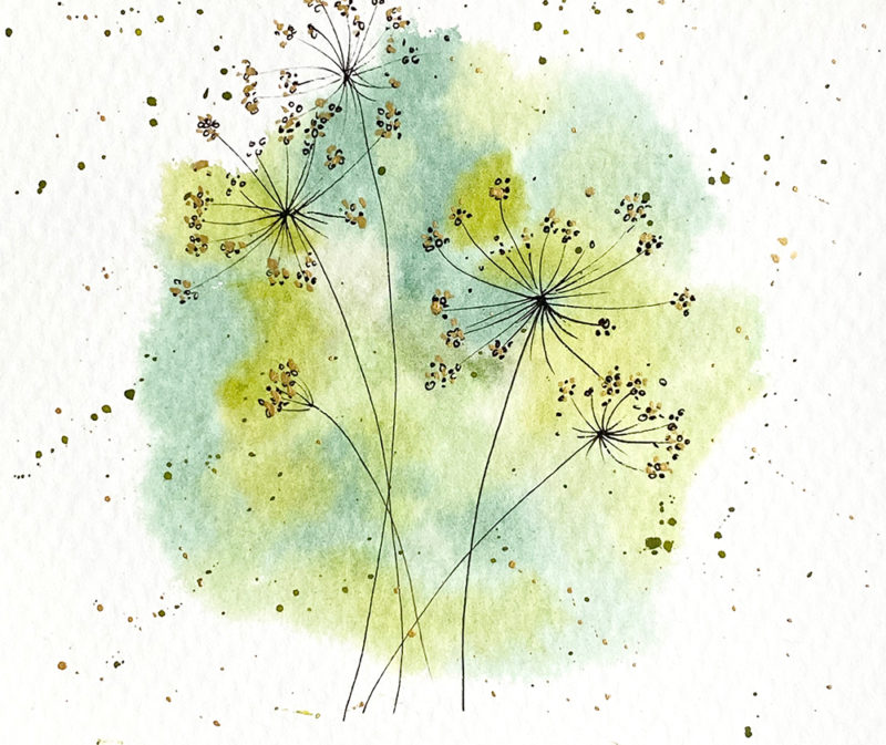 Aquarell Wilde Möhre
